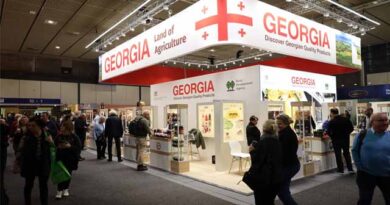 ბერლინი, გამოფენა