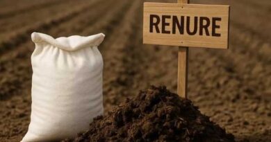 ბიო სასუქი ალკდფჯლასკდჯფლაკსჯდ