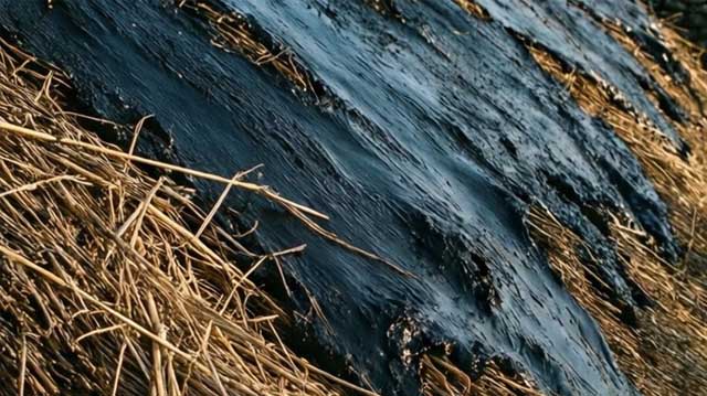 ბიობიტუმი