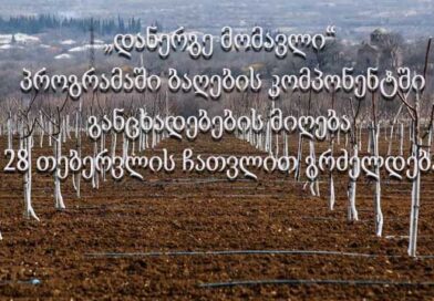 დანერგე მომავალი