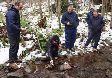დაქვირითიანება ლკადლფკაჯს