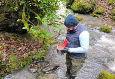 დათევზიანება ლაკჯდლფკჯასდ