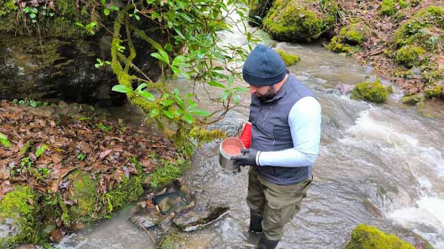 დათევზიანება ლაკჯდლფკჯასდ