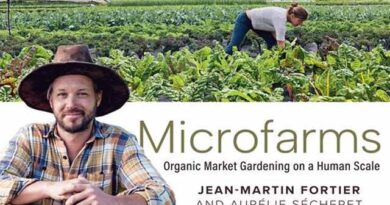 მიკროფერმა ლაჯდლფკასლდ