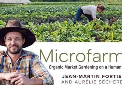 მიკროფერმა ლაჯდლფკასლდ