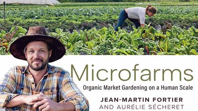 მიკროფერმა ლაჯდლფკასლდ