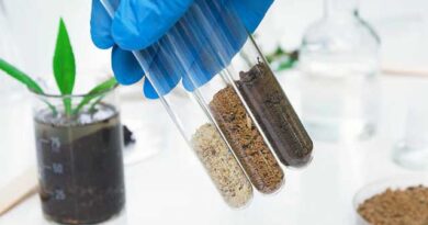 ნიადაგის ანალიზი ლკადჯლფკჯსდ