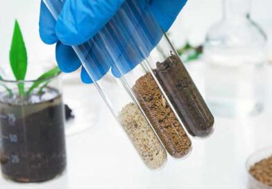 ნიადაგის ანალიზი ლკადჯლფკჯსდ