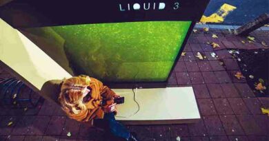 ფოტოსინთეზი