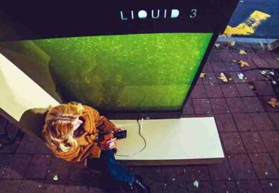 ფოტოსინთეზი