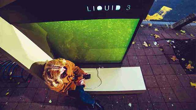 ფოტოსინთეზი