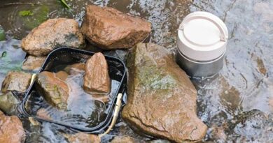 ქვირითი ლაკდფლკ