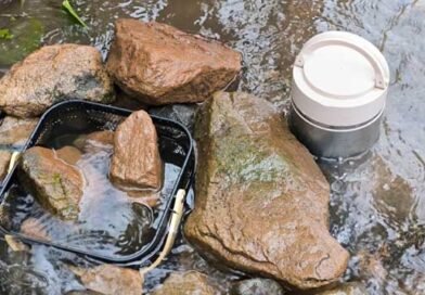 ქვირითი ლაკდფლკ