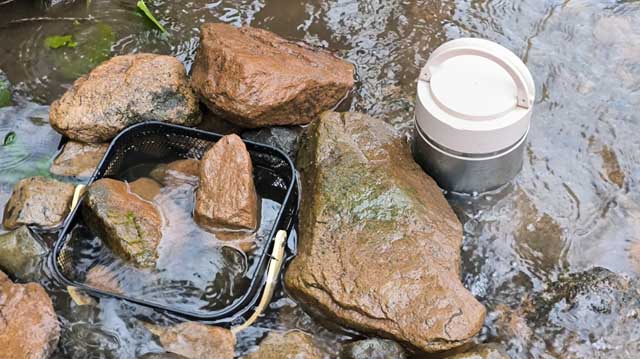 ქვირითი ლაკდფლკ