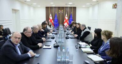 რუსთავის ეკოლოგია