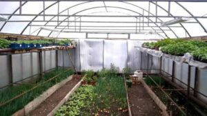 888888888888888888888888888888