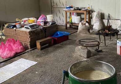 არალეგალური ყველის საწარმო