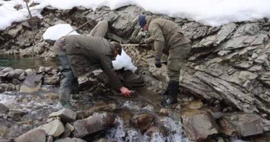 დუშეთი მდინარის ნაკადულები ადლკფასდ