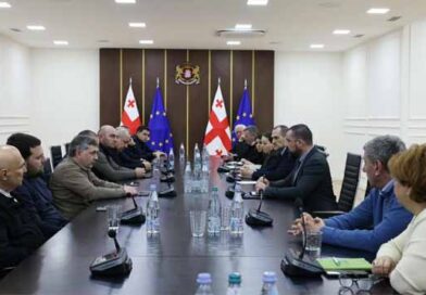 მეღორეობის სექტორის გაძლიერებისთვის