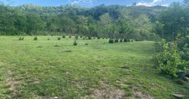 მიწის ნაკვეთი ლადკფლაკსდ