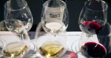 პოლონეთში ქართული ღვინის მარკეტინგულ კამპანია