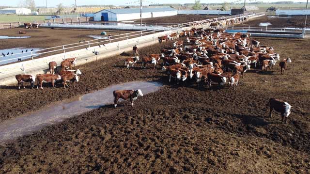 ყაზახეთი ადკფალსდკფჯალსკდჯფლასკდჯფას