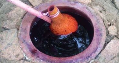 Qvevrshi ghvinis davargeba