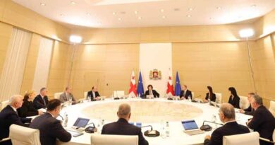 საქ მთავრობა ლადჯფასლკდ