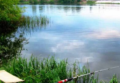 სათევზე ტბორი ლკაჯდ