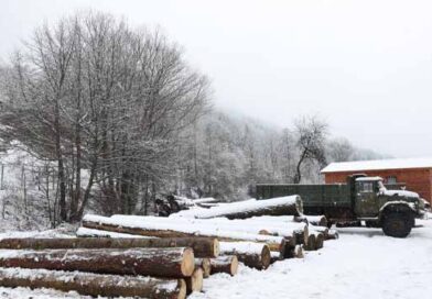 ტყის მონიტორინგილლკასდლკჯფ