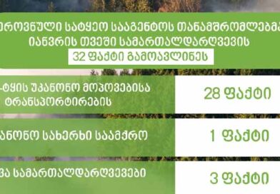 ტყის უკანონო ჭრა