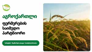  აგროქართლი 