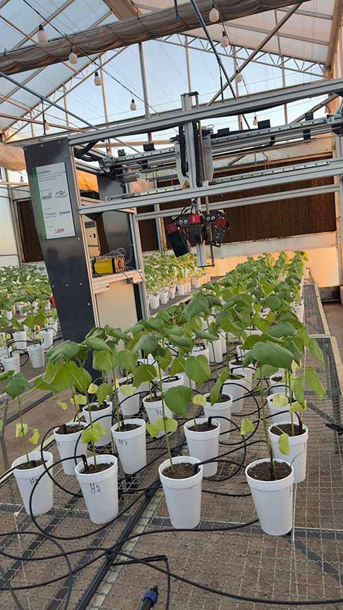 ბრაზილია