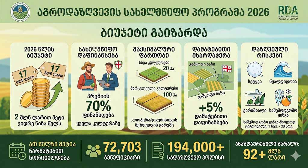 დაზღვევა სახწლმწიფო