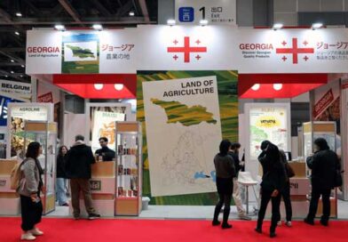 იაპინია გამოფენა