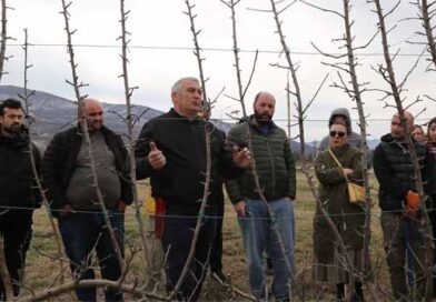 ინტენსიური მეხილეობის თანამედროვე ტექნოლოგიები