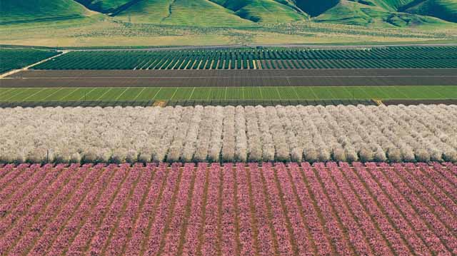 მიწის რეგისტრაციალაკდფლკასჯ