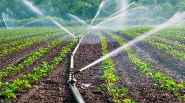 მორწყვის განრიგის დადგენა