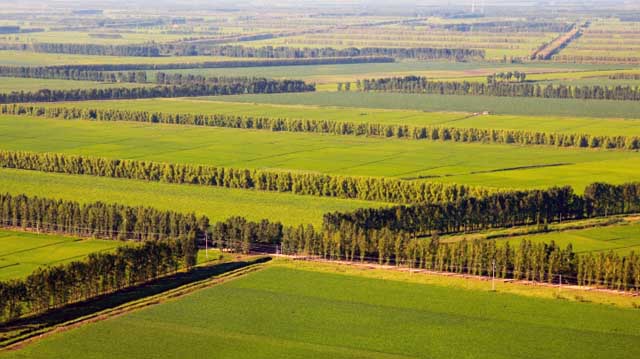 ქარსაფარი ზლების ინვენტარიზაცია