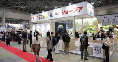 ქართული ღვინის მარკეტინგულ კამპანია