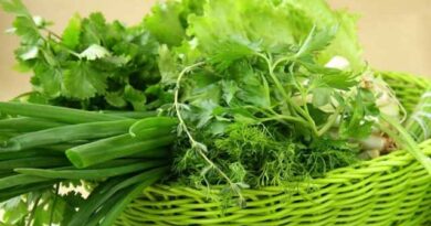 ქართული მწვანილის ექსპორტის დინამიკა