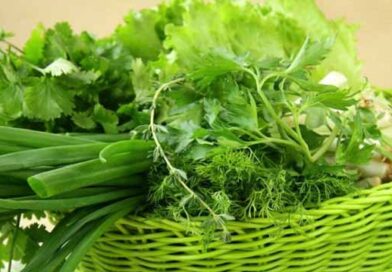 ქართული მწვანილის ექსპორტის დინამიკა