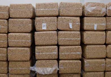 ქართული თხილის ექსპორტი