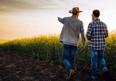 რატომ ზარალდება ფერმერი