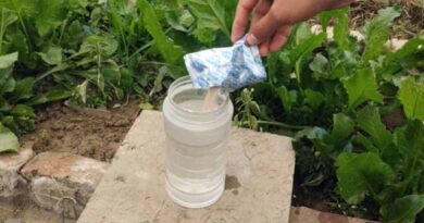 საფუარი ბაღში