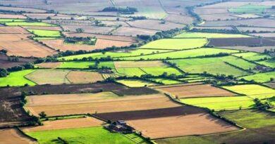 საქართელოს მიწები