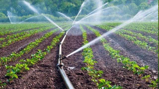 სარწყავი სეზონი და ბიუროკრატიული ლაბირინთები