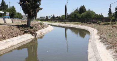 სარწყავი წყალი