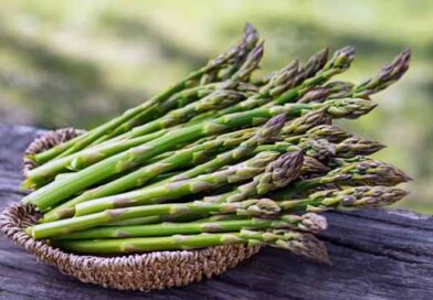 სატაცური ჩვენს სამზარეულოში