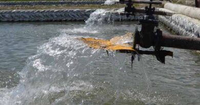 სატბორე მეურნეობა